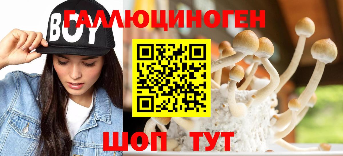 Псилоцибиновые грибы Cubensis Ижевск